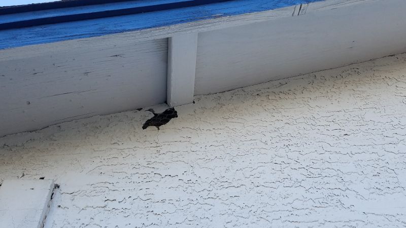 Synthetic Stucco Repair in Roseville, CA